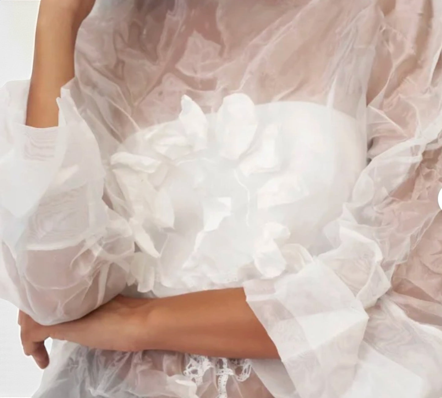 Bize Sheer Organza Artistic Top - Above the Crowd Boutique