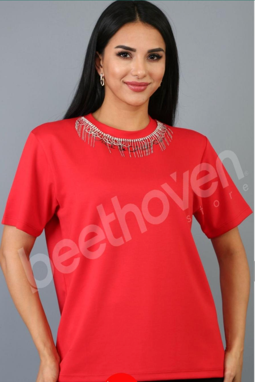 Beethoven Designer Inspired T-Shirt 8124 Beethoven