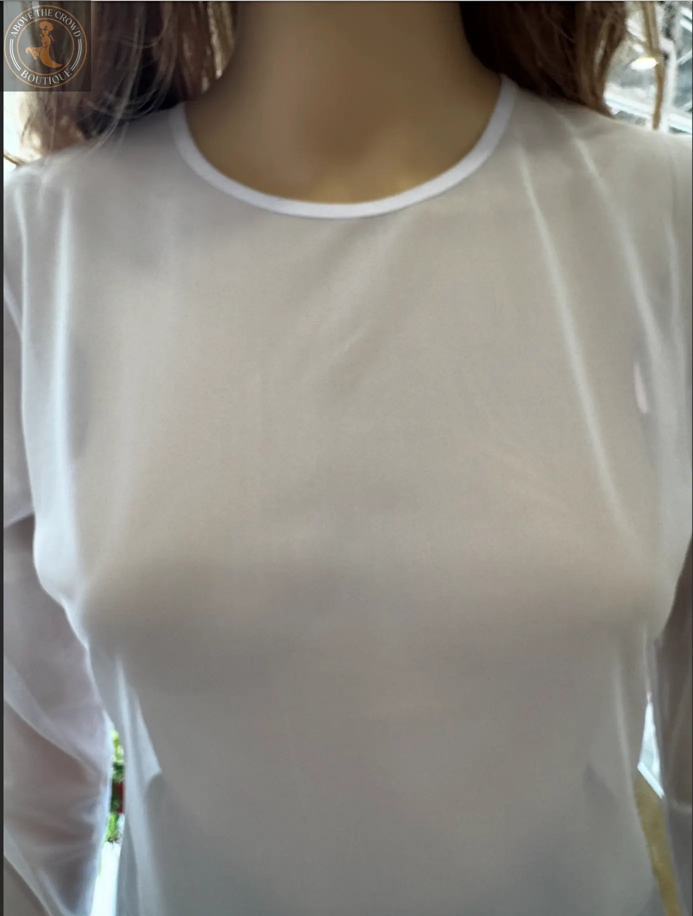 European Chic Sheer Long Sleeve Top by Bize Bize