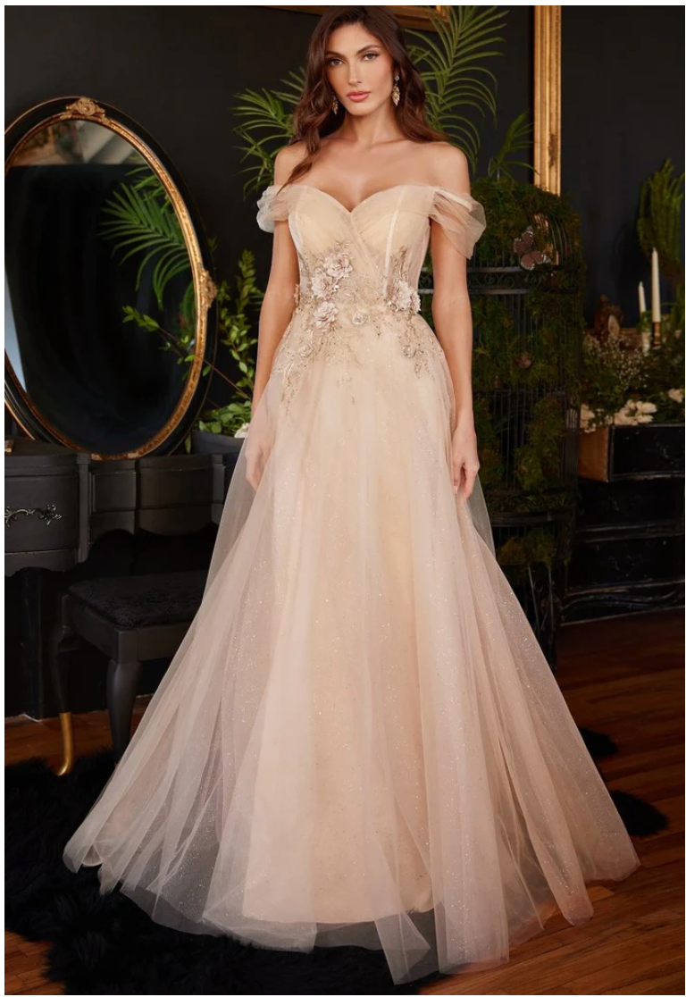 Ladivine Off The Shoulder Champagne Tulle A-line Dress CD3395 Ladivine