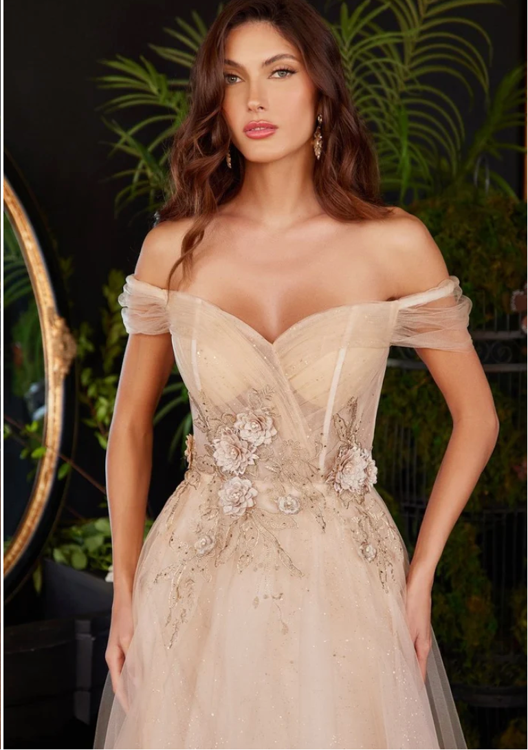 Ladivine Off The Shoulder Champagne Tulle A-line Dress CD3395 Ladivine