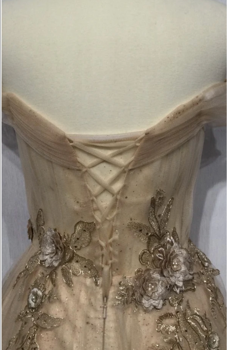 Ladivine Off The Shoulder Champagne Tulle A-line Dress CD3395 Ladivine