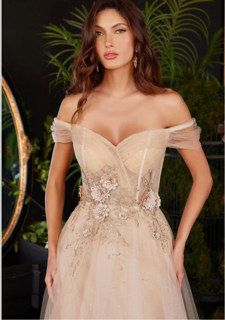 Ladivine Off The Shoulder Champagne Tulle A-line Dress CD3395