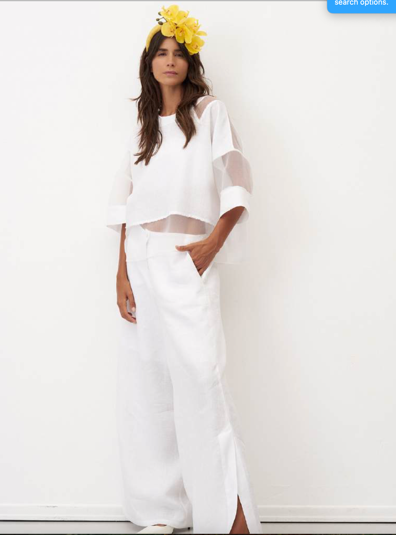 Bize Sheer Panel Cropped Blouse