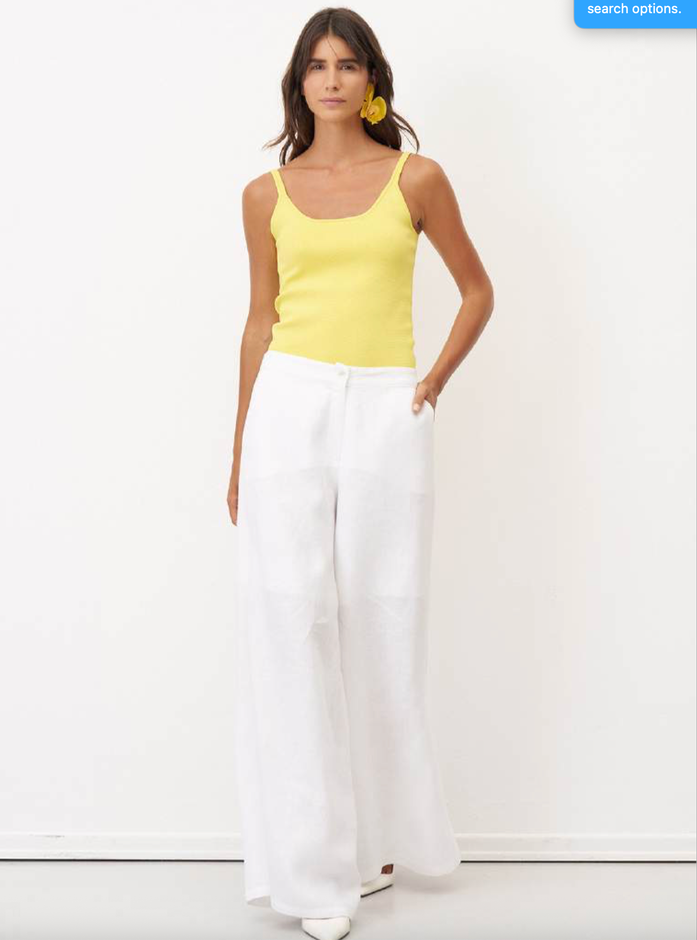 Bize Wide-Leg Linen Pants